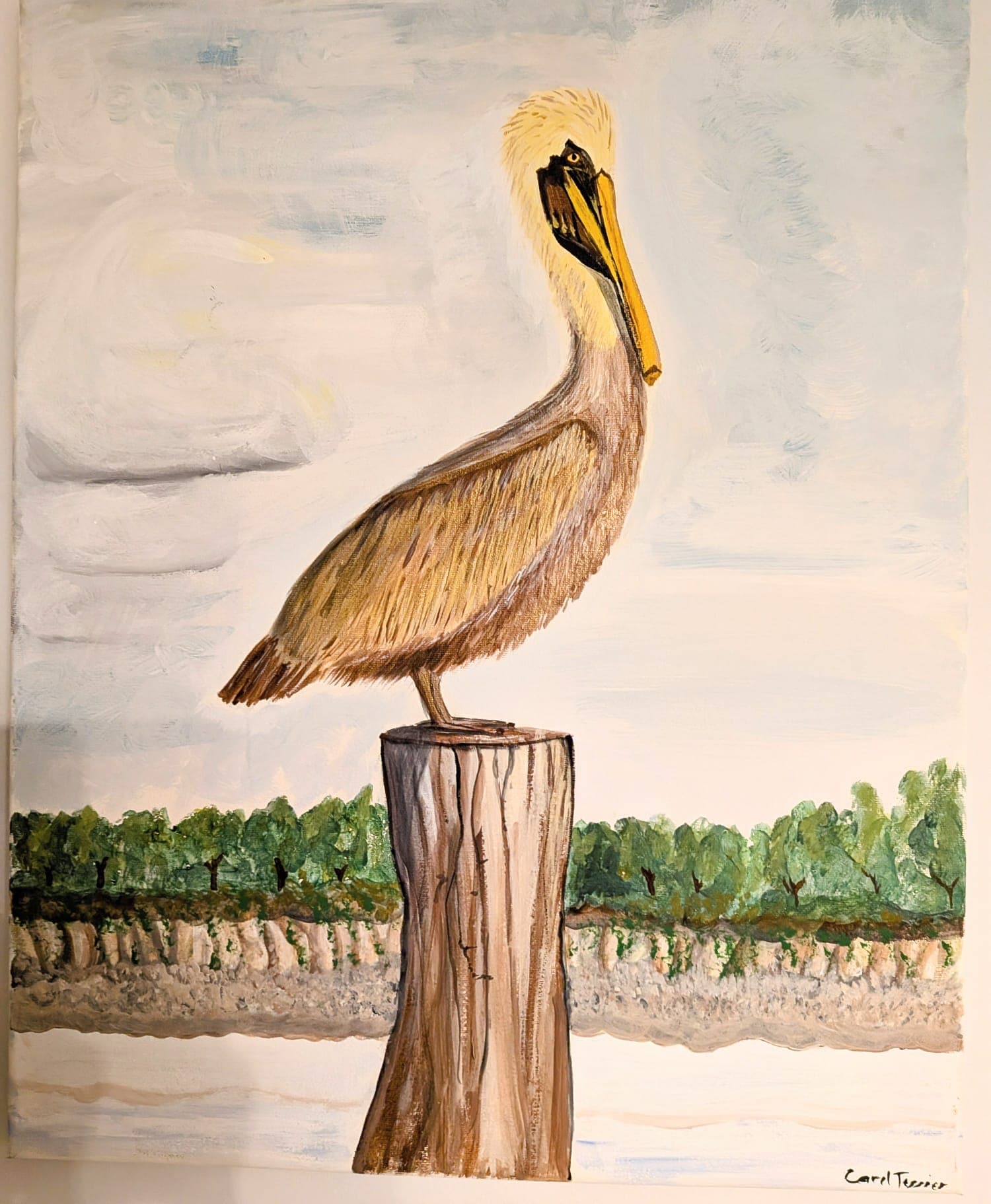 Pelican, painting by Carol Tessier
