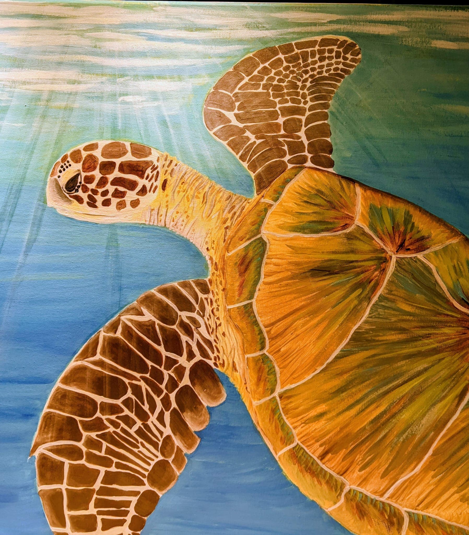 Turtle, Mexico, painting by Carol Tessier