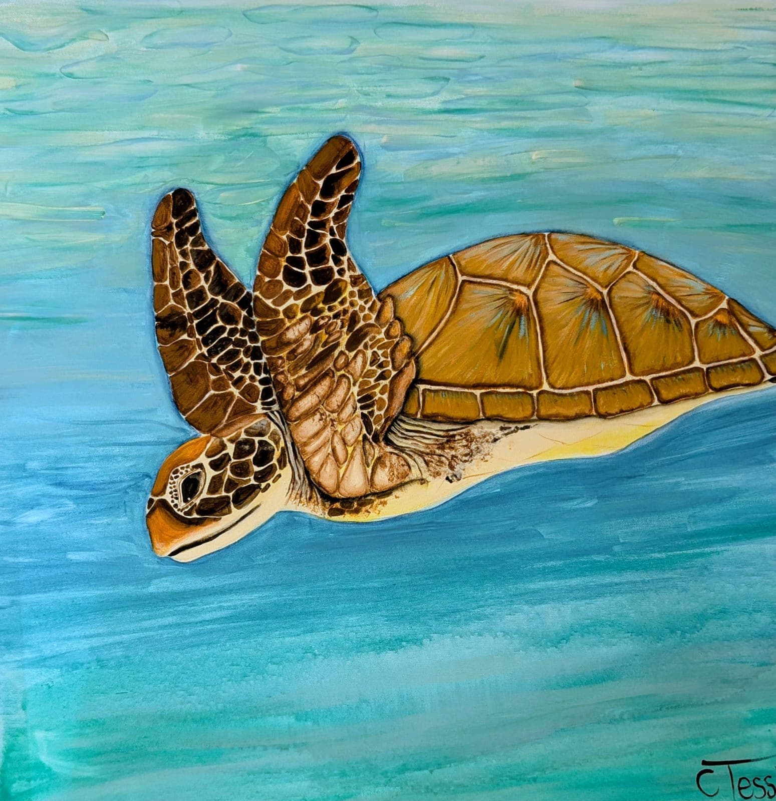 Green Turtle, Huatulco, painting by Carol Tessier