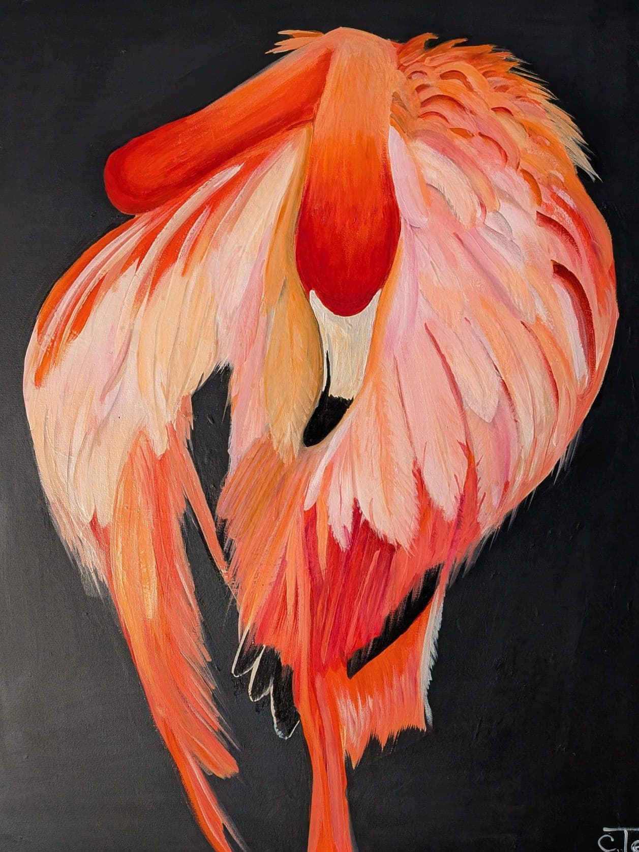 Sleeping Flamingo, painting by Carol Tessier